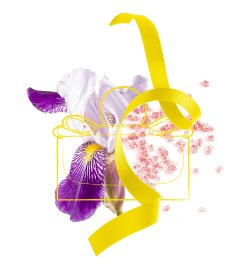 Signorina Libera - Eau de Parfum Signorina Libera - Eau de Parfum